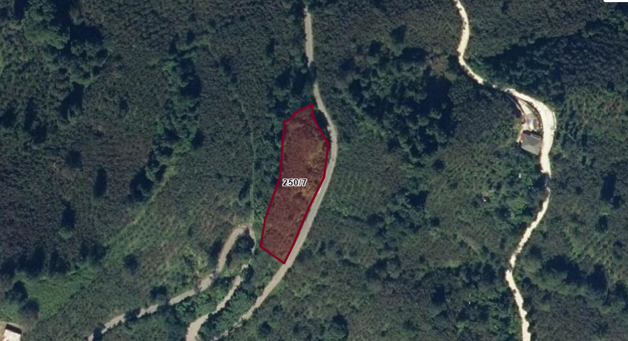 MABEL'DEN FATSA HACIKÖY'DE 2343M2 FIRSAT SATILIK ARSA